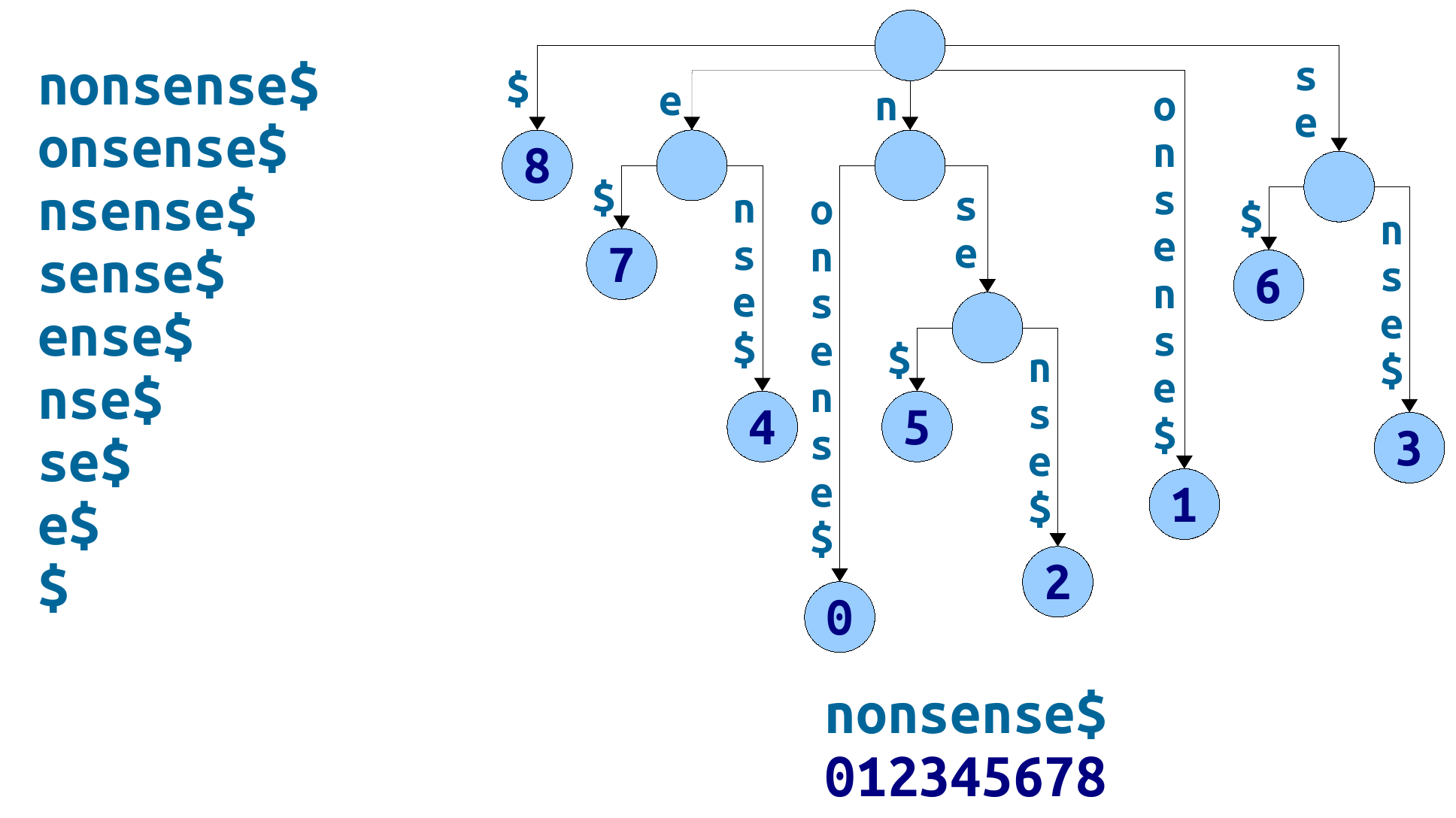 nonsense的后缀树