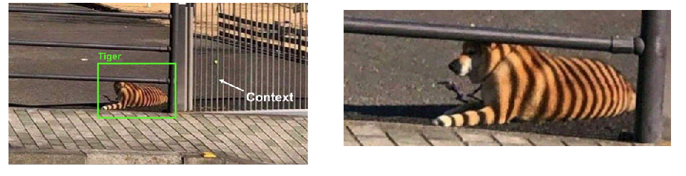 image-20240106123601290