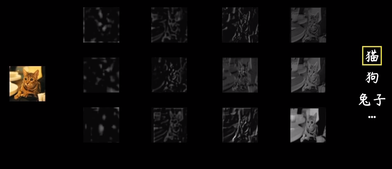 image-20240505145703754