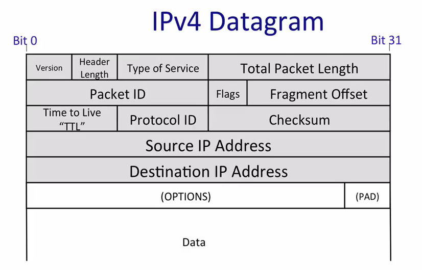 image-20230209212836838